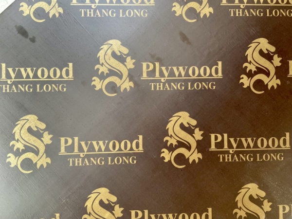 Ván phủ phim Thang Long Plywood